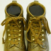 Cover image of Hiking Boots